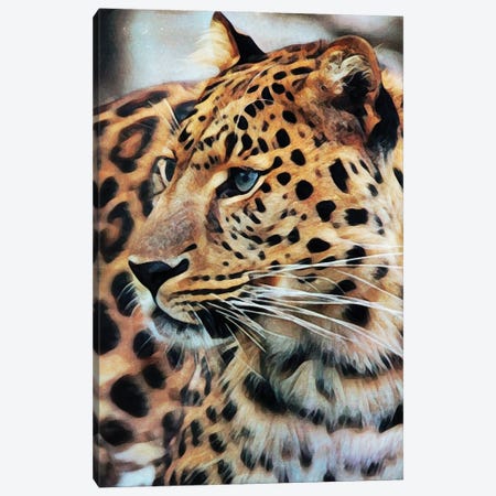 Leopard In Longing Canvas Print #HLY19} by Ashley Aldridge Canvas Art