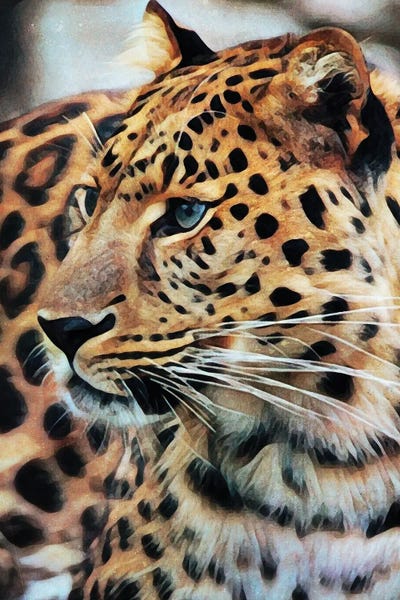 Leopards: Leopard In Longing by Ashley Aldridge