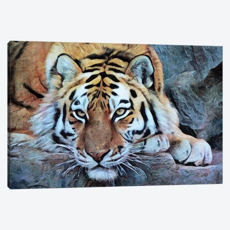 Tiger So Tame Canvas Print #HLY20} by Ashley Aldridge Canvas Print