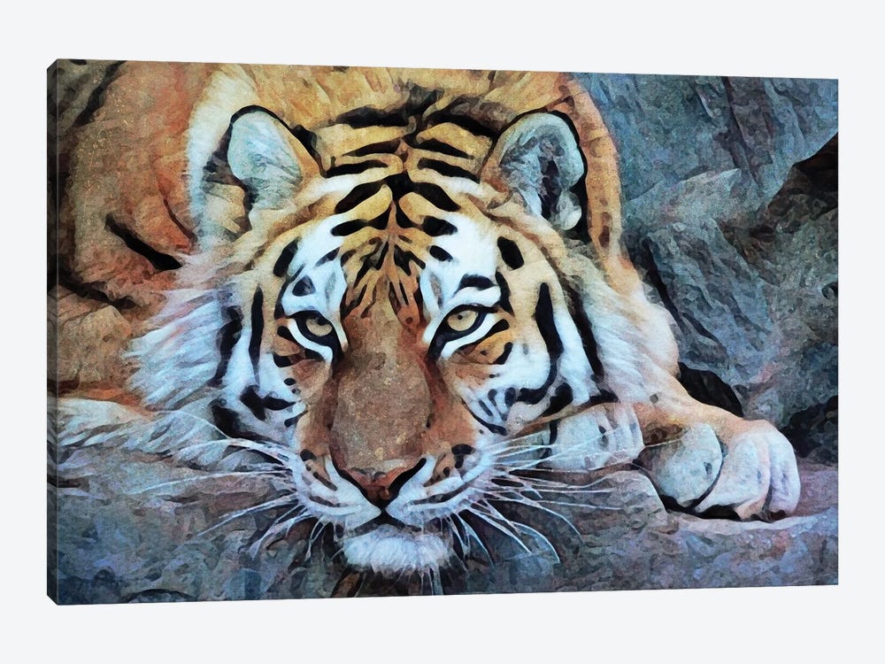 Tiger So Tame by Ashley Aldridge 1-piece Canvas Artwork
