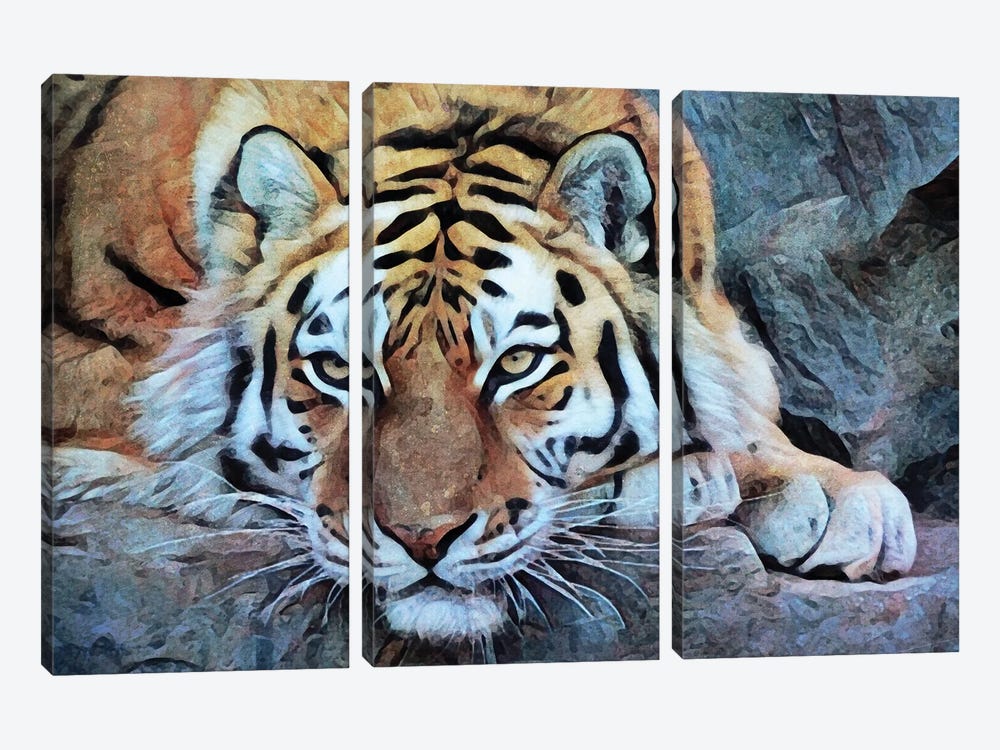Tiger So Tame by Ashley Aldridge 3-piece Canvas Art