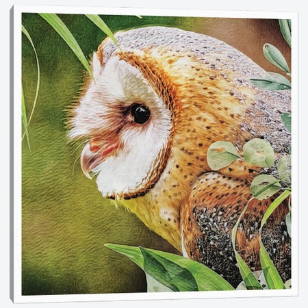 Woodland Owl Watch Canvas Print #HLY21} by Ashley Aldridge Canvas Print