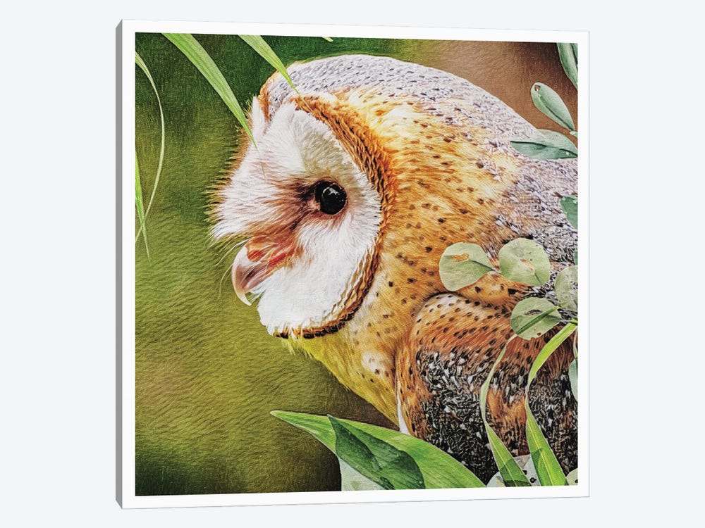 Woodland Owl Watch by Ashley Aldridge 1-piece Art Print