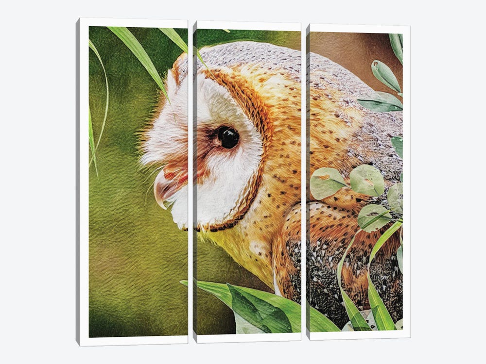 Woodland Owl Watch by Ashley Aldridge 3-piece Canvas Art Print