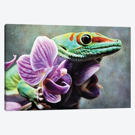 Green Gecko Orchid Grab Canvas Print #HLY23} by Ashley Aldridge Canvas Art Print