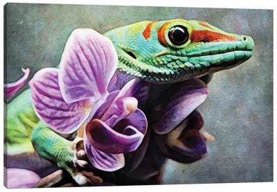 Green Gecko Orchid Grab Canvas Art Print - Lizard Art