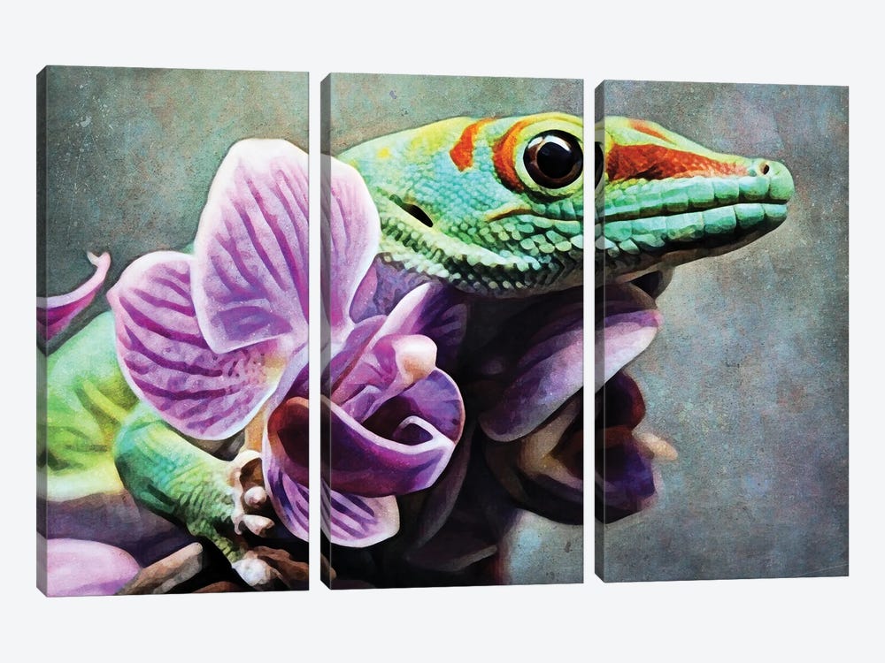 Green Gecko Orchid Grab by Ashley Aldridge 3-piece Canvas Print