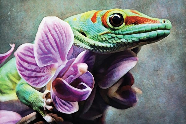 Geckos: Green Gecko Orchid Grab by Ashley Aldridge