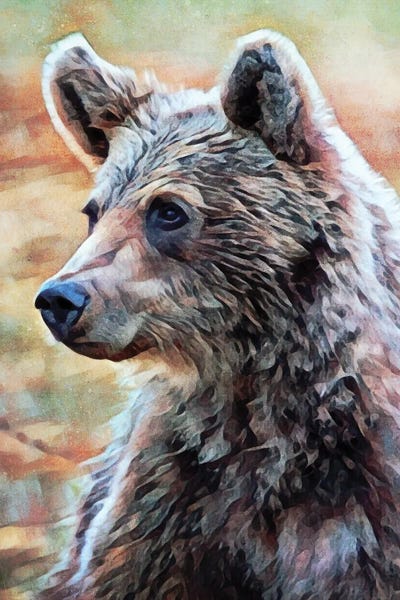 Brown Bear Seated Surveillance