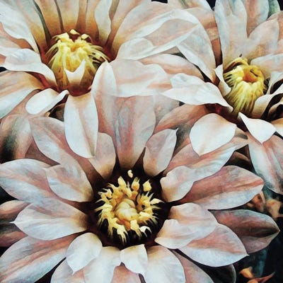 Delicately Dangerous Flora by Ashley Aldridge framed canvas print