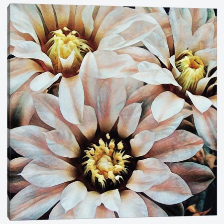 Delicately Dangerous Flora Canvas Print #HLY3} by Ashley Aldridge Canvas Artwork
