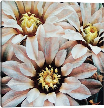 Delicately Dangerous Flora Canvas Art Print