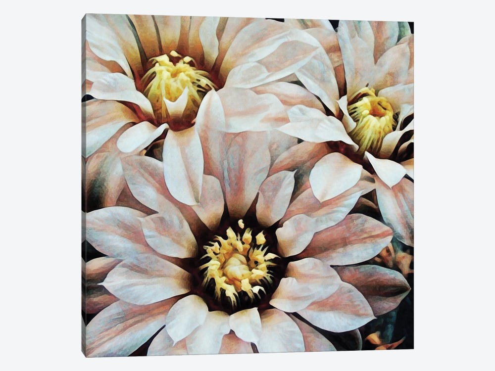 Delicately Dangerous Flora by Ashley Aldridge 1-piece Canvas Art