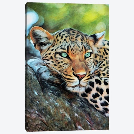 Leopard Of Leisure Canvas Print #HLY4} by Ashley Aldridge Art Print