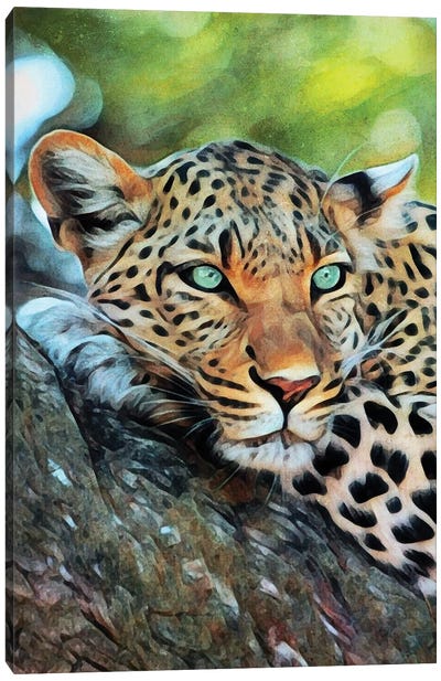 Leopard Of Leisure Canvas Art Print
