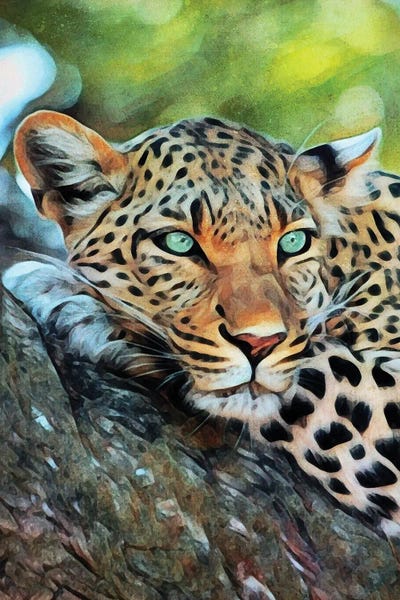 Leopards: Leopard Of Leisure by Ashley Aldridge
