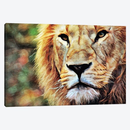 Lion Watch & Wait Canvas Print #HLY5} by Ashley Aldridge Canvas Art Print