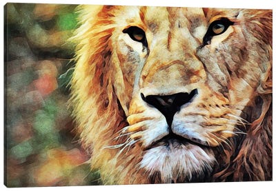 Lion Watch & Wait Canvas Art Print