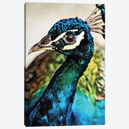 Peacock Pretty & Proud Canvas Print #HLY8} by Ashley Aldridge Canvas Artwork
