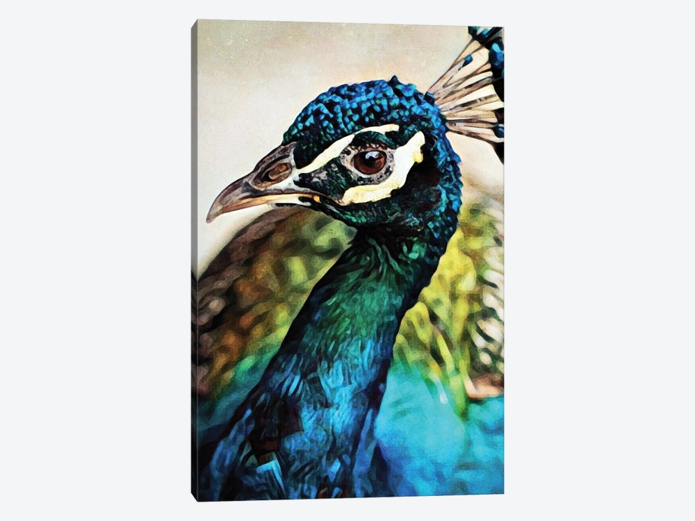 Peacock Pretty & Proud by Ashley Aldridge 1-piece Art Print