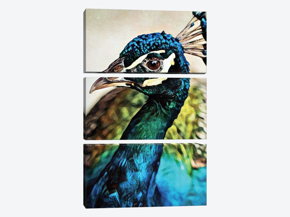 Peacock Pretty & Proud by Ashley Aldridge 3-piece Canvas Print