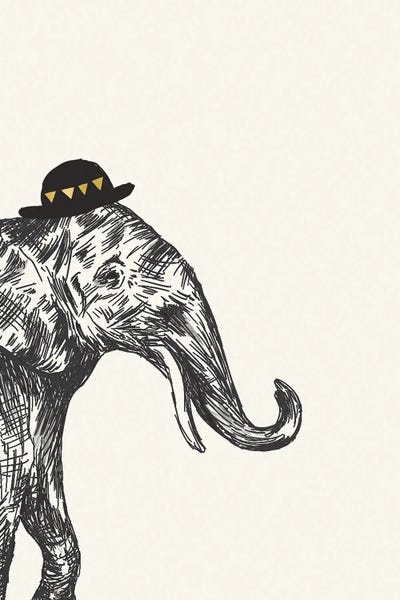 Pink Light Studio: Elephant I by Heather McLaughlin