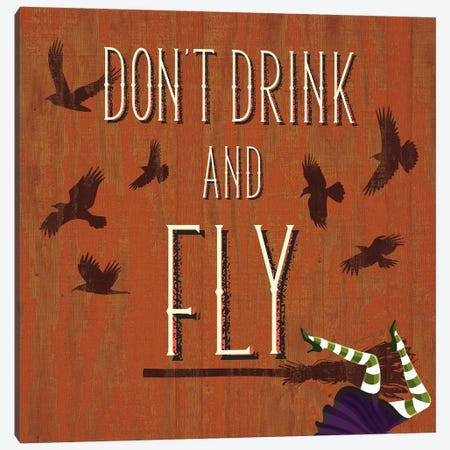 Don't Drink And Fly Canvas Print #HMO2} by 5by5collective Canvas Art