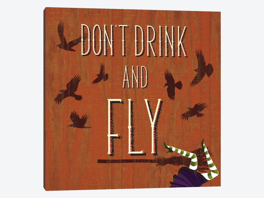 Don't Drink And Fly by 5by5collective 1-piece Canvas Artwork
