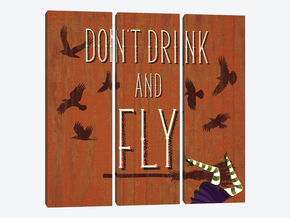 Don't Drink And Fly by 5by5collective 3-piece Canvas Artwork