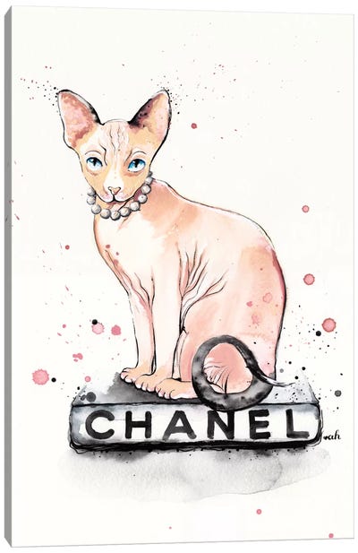They Call Me Coco Canvas Art Print - Hairless Cat Art