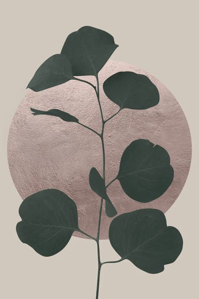 Abstract Moss leaf II by Helo Moraes framed canvas print