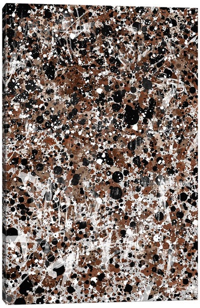 Pollock I Canvas Art Print - Helo Moraes