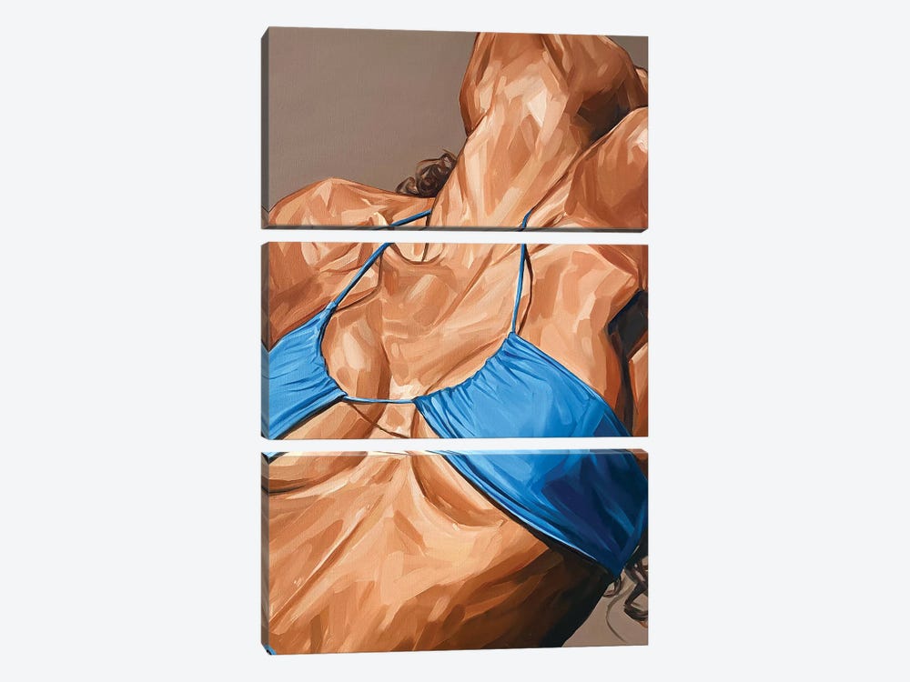 Donatella by Hana Tischler 3-piece Canvas Art Print