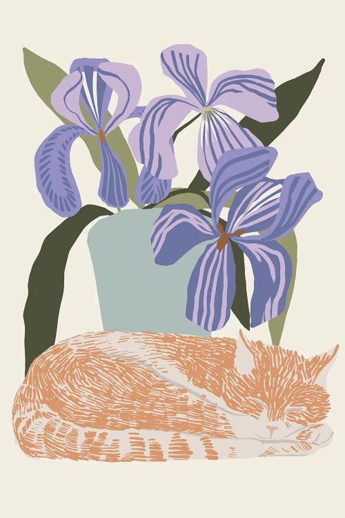 Cat Iris by Hanna Beisang wall art