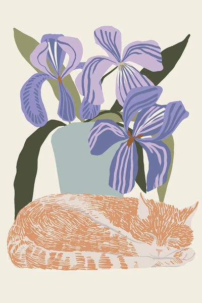 Irises: Cat Iris by Hanna Beisang