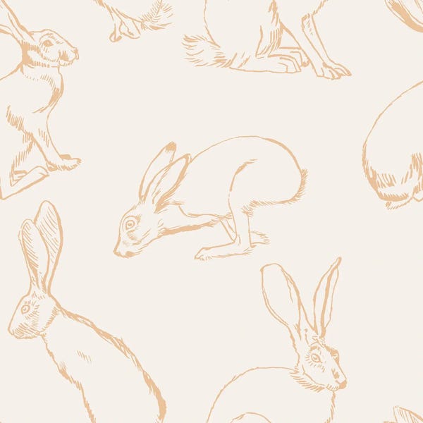 Minimalist Bohemian Decor: Modern Desert - Desert Hares by Hanna Beisang