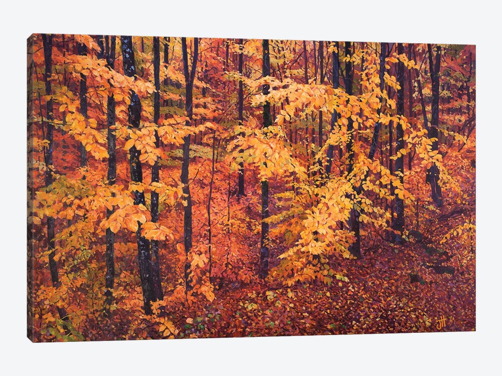 Forestscape. Pink And Orange by John Hancock 1-piece Canvas Wall Art