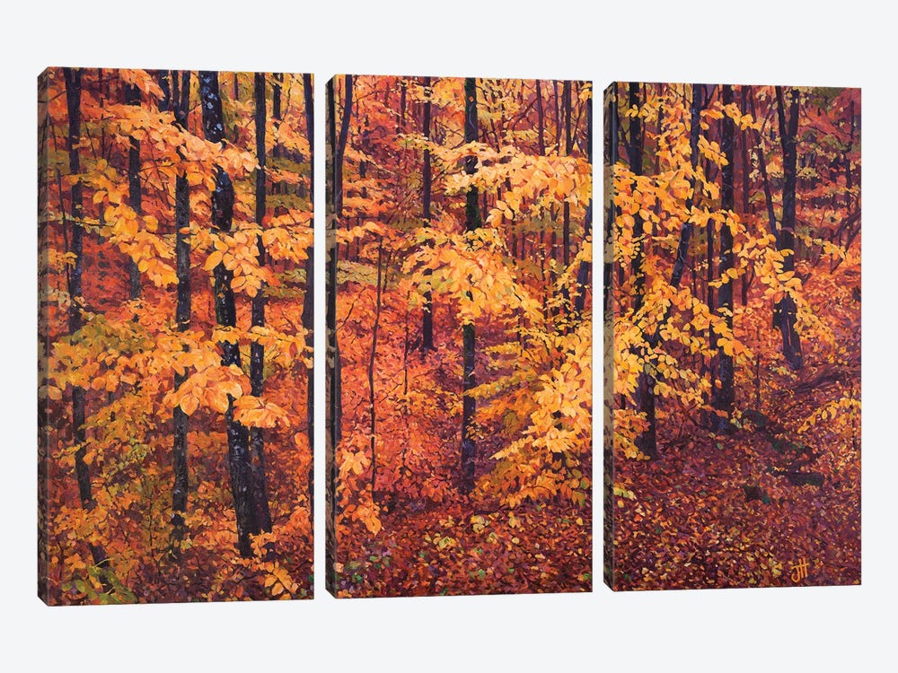 Forestscape. Pink And Orange by John Hancock 3-piece Canvas Artwork