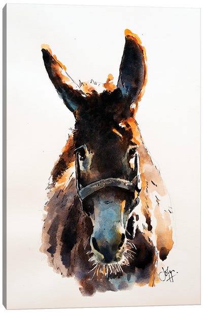 Ivan Canvas Art Print - Donkey Art