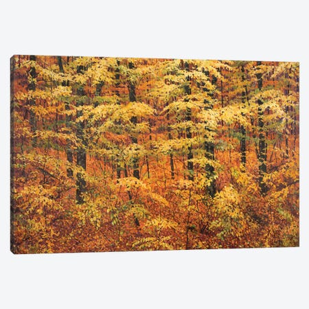 The End Of October Canvas Print #HNC19} by John Hancock Canvas Print