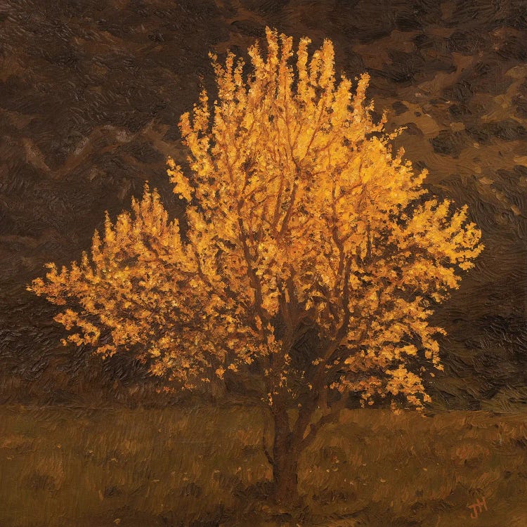 Valencia Tree