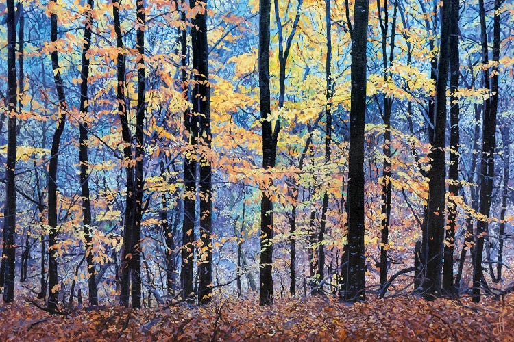 Forestscape. Blue And Yellow