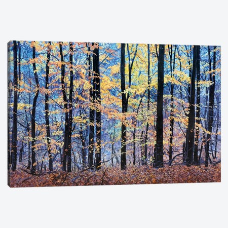 Forestscape. Blue And Yellow Canvas Print #HNC23} by John Hancock Canvas Wall Art