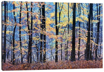 Forestscape. Blue And Yellow Canvas Art Print - John Hancock