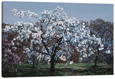 Flowering Cherry Canvas Art Print - Zen Garden