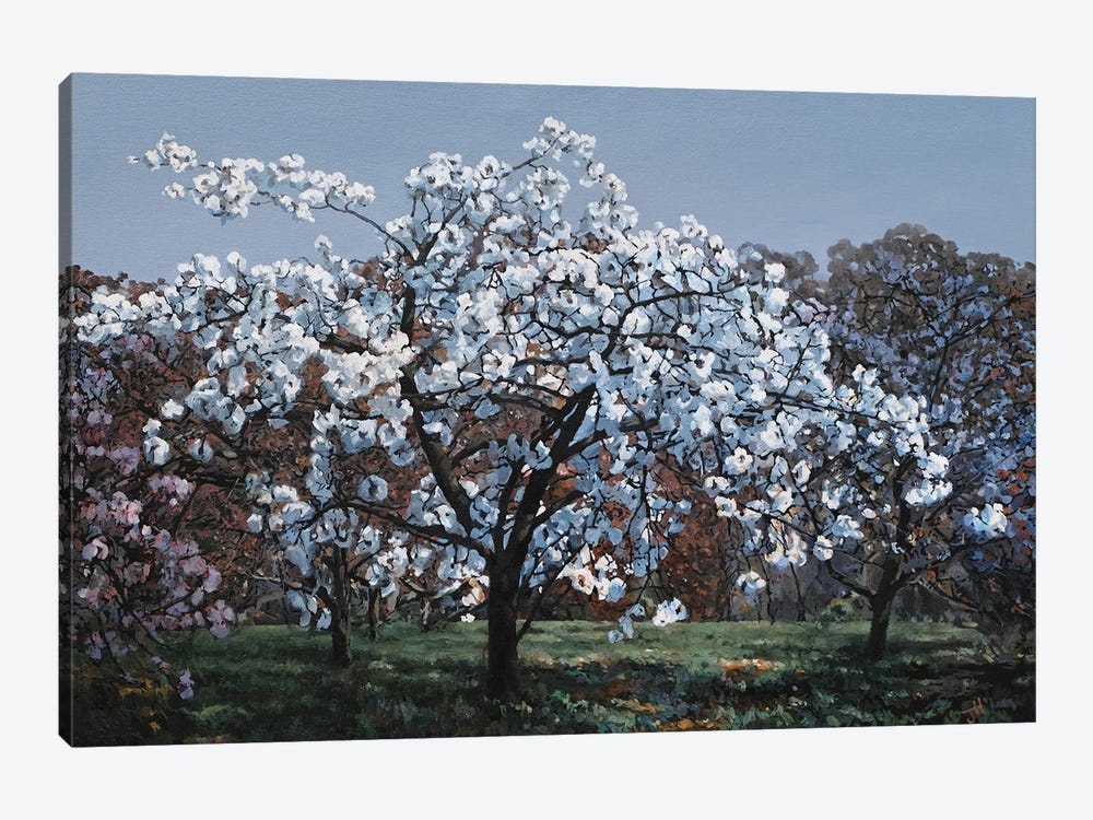 Flowering Cherry by John Hancock 1-piece Canvas Art