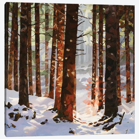Winterwood Canvas Print #HNC33} by John Hancock Canvas Print