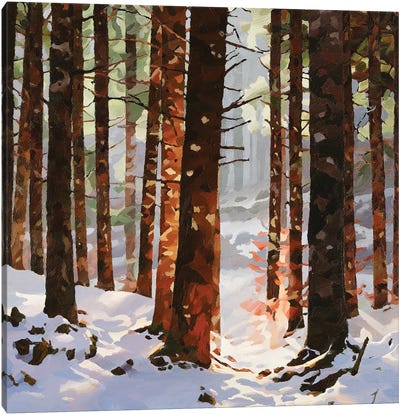 Winterwood Canvas Art Print - Rustic Winter