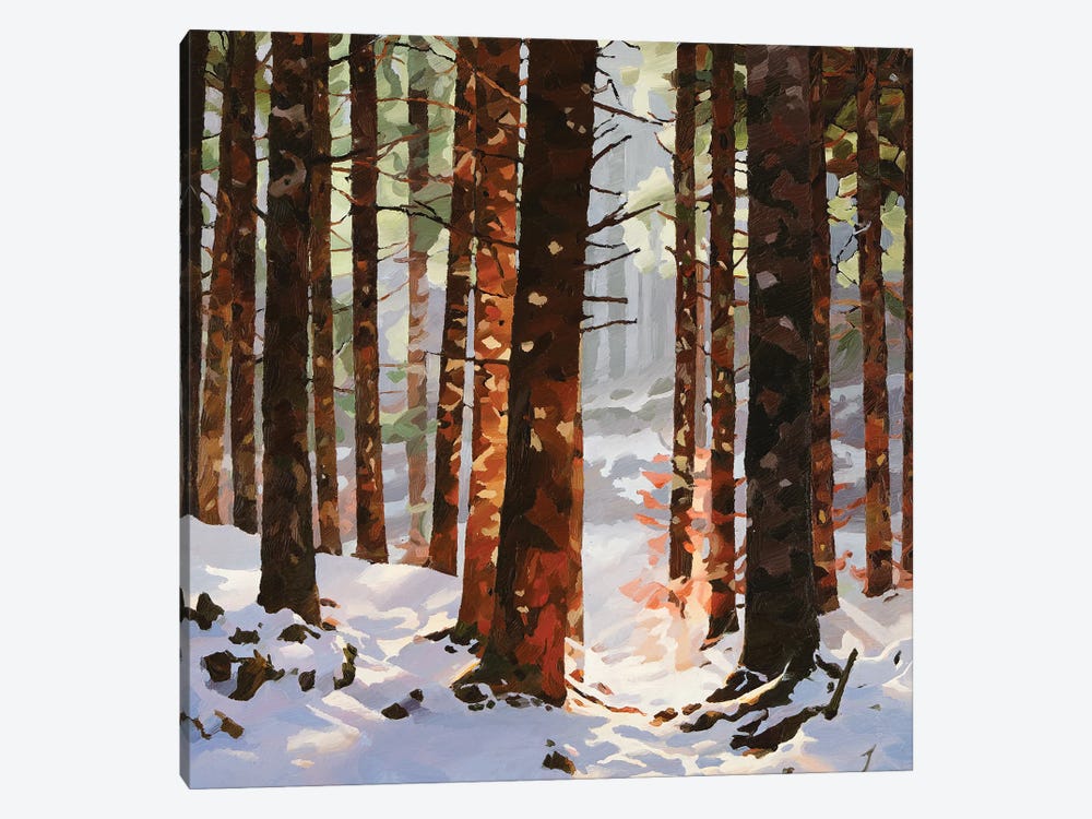 Winterwood by John Hancock 1-piece Canvas Print