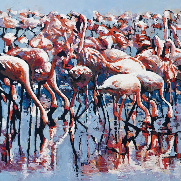 Pretty Flamingos